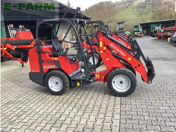 Pala gommata SCHÄFFER