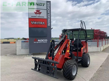 Pala gommata SCHÄFFER