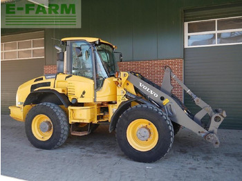 Miniescavatore VOLVO L45F