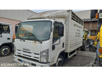 Autocarro trasporto bestiame ISUZU
