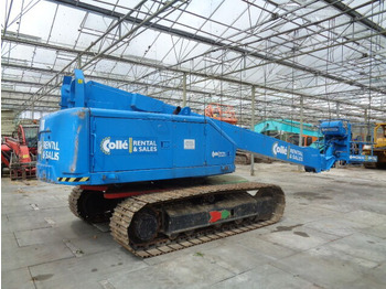 : immagine di intestazione