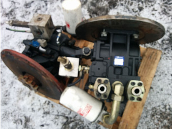 : immagine di intestazione