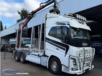 Camion trasporto legname VOLVO FH