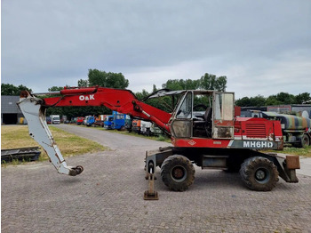 : immagine di intestazione