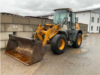 Pala gommata LIEBHERR