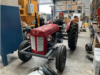 Trattore MASSEY FERGUSON