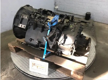 : immagine di intestazione