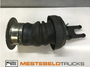 : immagine di intestazione