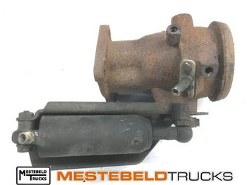 : immagine di intestazione