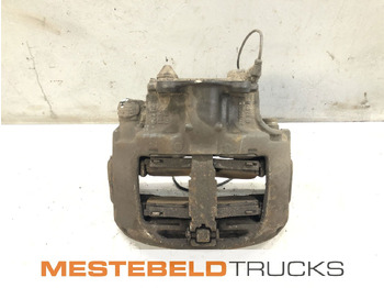 : immagine di intestazione