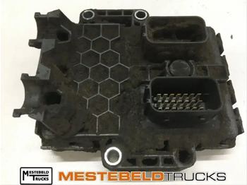 : immagine di intestazione