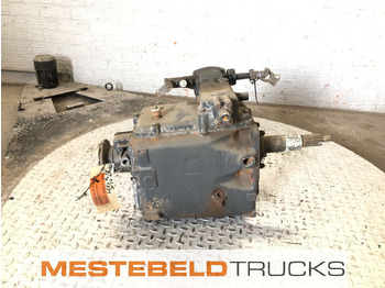 : immagine di intestazione