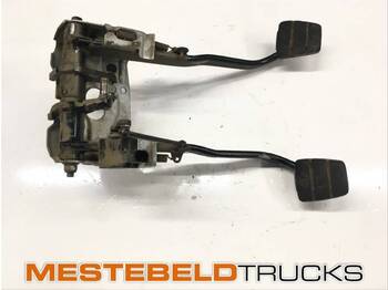 : immagine di intestazione