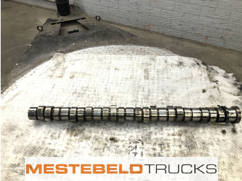 : immagine di intestazione