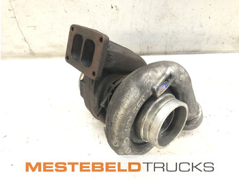 : immagine di intestazione