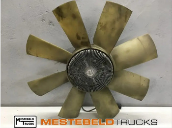 : immagine di intestazione