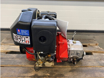 : immagine di intestazione