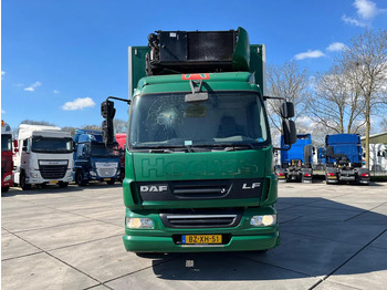 Autocarro frigorifero DAF LF 55 FA: foto 2