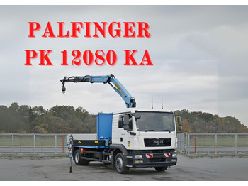 Camion con gru MAN TGM 18.250