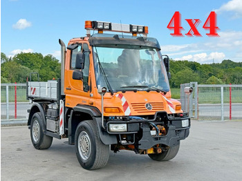Autocarro ribaltabile UNIMOG