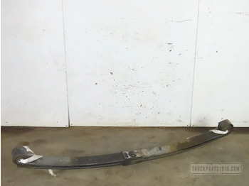 Sospensione a balestra DAF XF 106