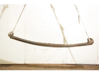 Sospensione a balestra DAF XF