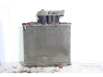Radiatore MAN TGS