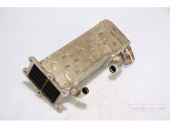 : immagine di intestazione