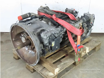 : immagine di intestazione