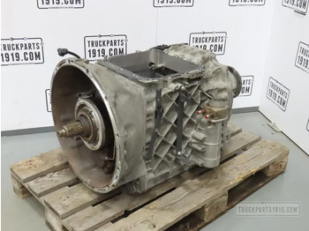 : immagine di intestazione