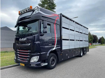 Autocarro trasporto bestiame DAF XF 460