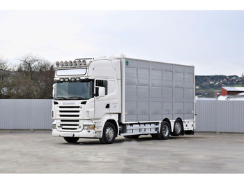 Autocarro trasporto bestiame SCANIA R 500