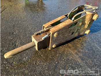 : immagine di intestazione