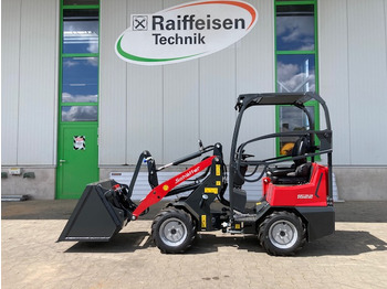 Pala gommata SCHÄFFER