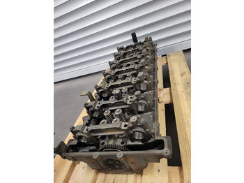 : immagine di intestazione