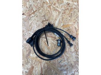 : immagine di intestazione