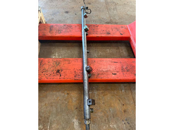 : immagine di intestazione