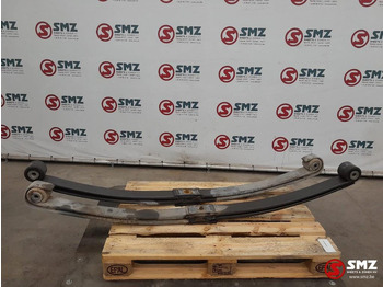 Sospensione a balestra DAF