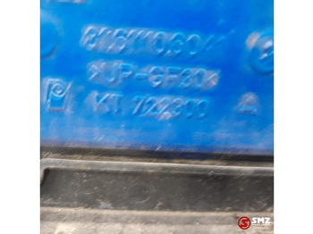 Griglia radiatore per Camion MAN Occ radiatorgrille MAN: foto 3 Griglia radiatore per Camion MAN Occ radiatorgrille MAN: foto 3