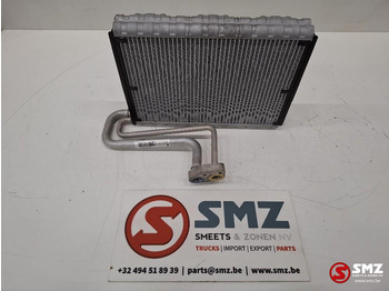 Cabina e interni RENAULT