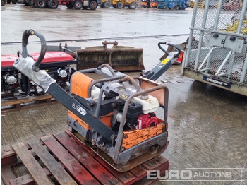 : immagine di intestazione