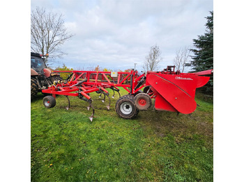 : immagine di intestazione