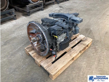 : immagine di intestazione