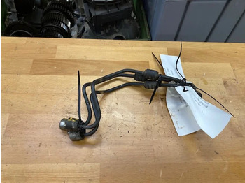 : immagine di intestazione