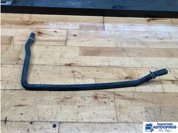 : immagine di intestazione