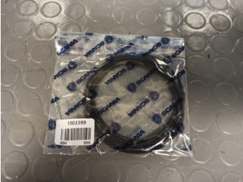 : immagine di intestazione