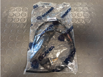 : immagine di intestazione