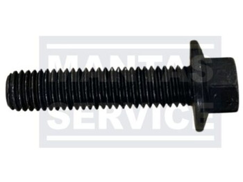 : immagine di intestazione