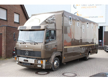 Van trasporto cavalli MERCEDES-BENZ