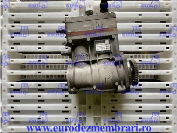 : immagine di intestazione